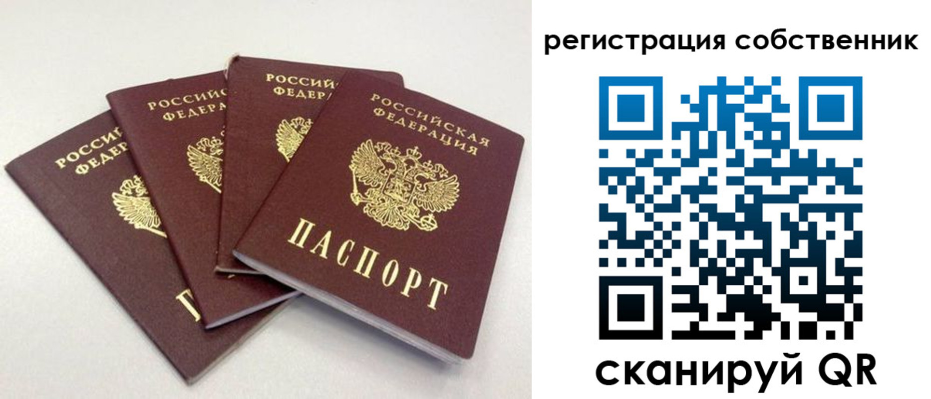 прописка для школы в Суворове